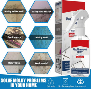Highly Effective Mould Removal Spray - Prevents Mould Regrowth!