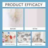 Highly Effective Mould Removal Spray - Prevents Mould Regrowth!