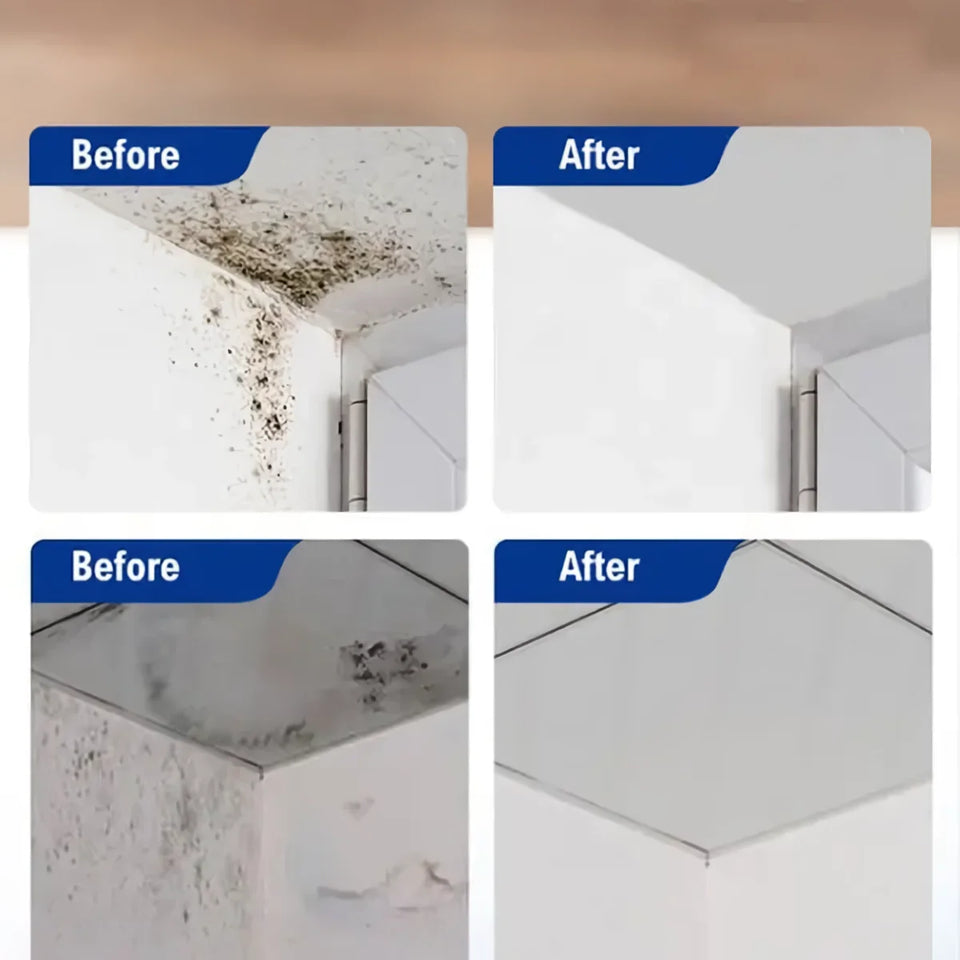 Highly Effective Mould Removal Spray - Prevents Mould Regrowth!