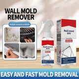 Highly Effective Mould Removal Spray - Prevents Mould Regrowth!