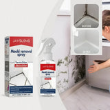 Highly Effective Mould Removal Spray - Prevents Mould Regrowth!